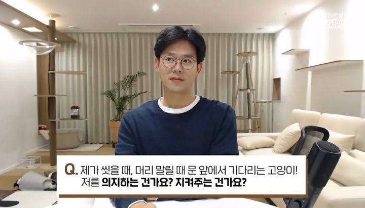 화장실가면 문앞에서 고양이가 기다리는 이유 | 인스티즈