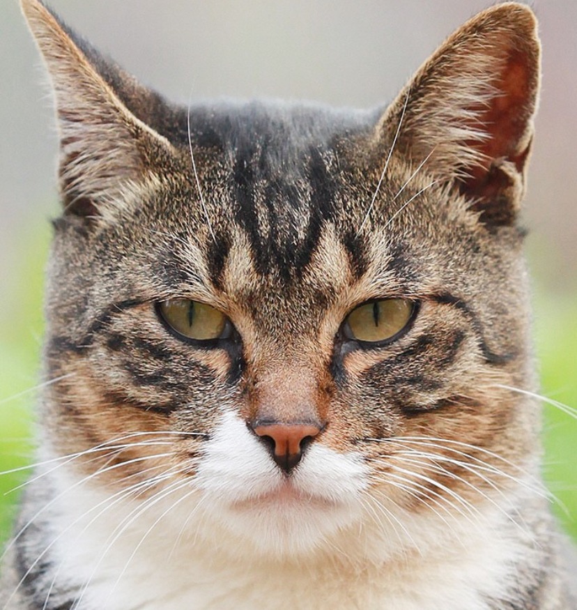 버스탈때 은근 짜증나는 상황 .jpg | 인스티즈