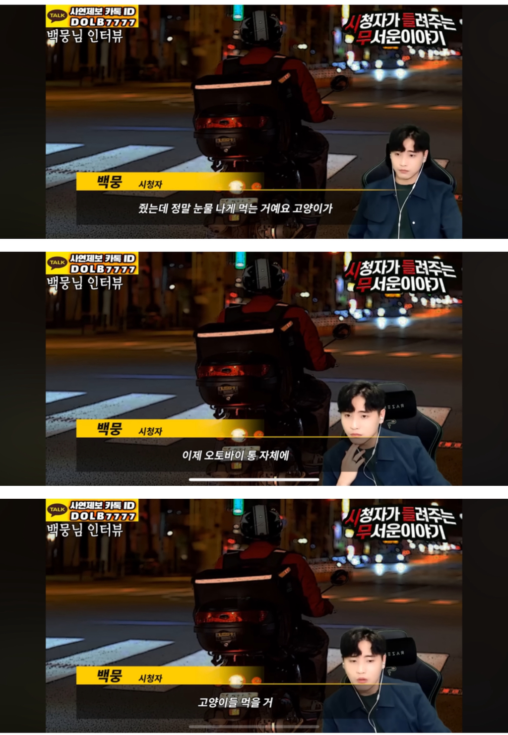 배달기사를 구해준 고양이🐈🥺[돌비공포라디오 시들무] | 인스티즈