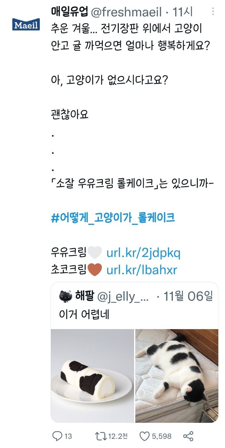 전국 젖소고양이 집합중인 트위터 | 인스티즈