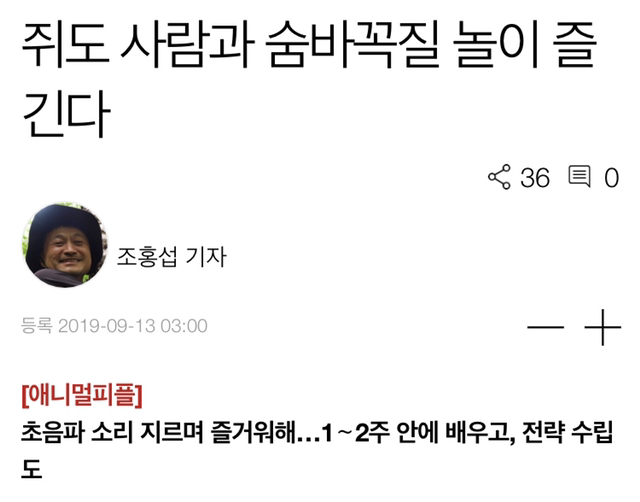 쥐도 사람과 숨바꼭질 놀이 즐긴다 | 인스티즈