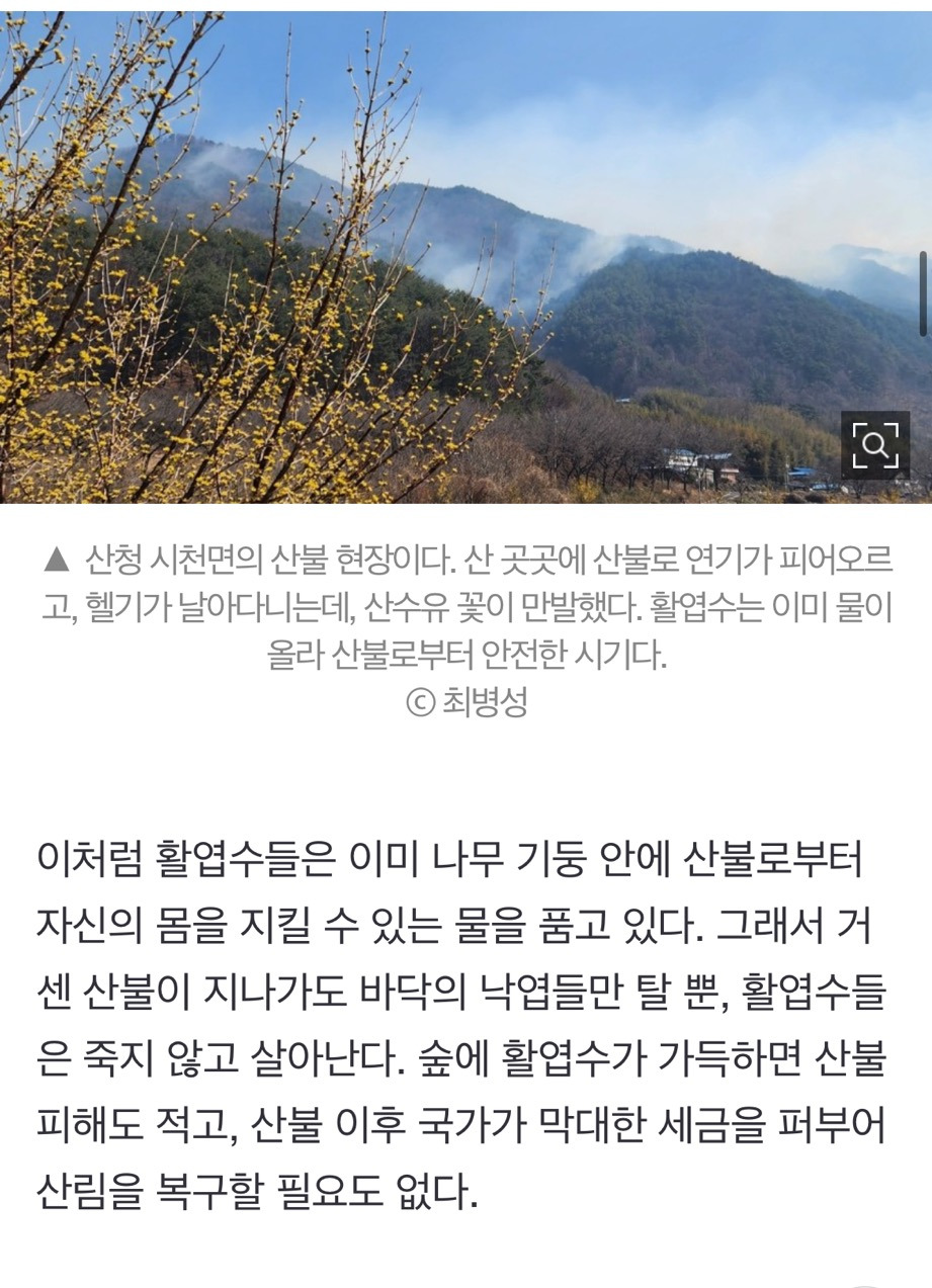 산불 발화지점 가보고 깜짝 놀랐다, 대형산불의 진짜 원인 [최병성 리포트] | 인스티즈