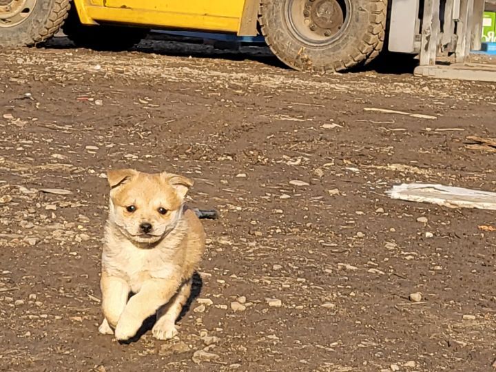 (공지라니... ++추가)새로생긴 회사 복지.. 미쳐서 도저히 일을 못하겠네.. (추가....)++추가 | 인스티즈