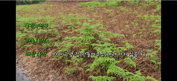 금은보화가 들어있는 박씨를 얼마나 받을지 궁금한 매탈남 | 인스티즈