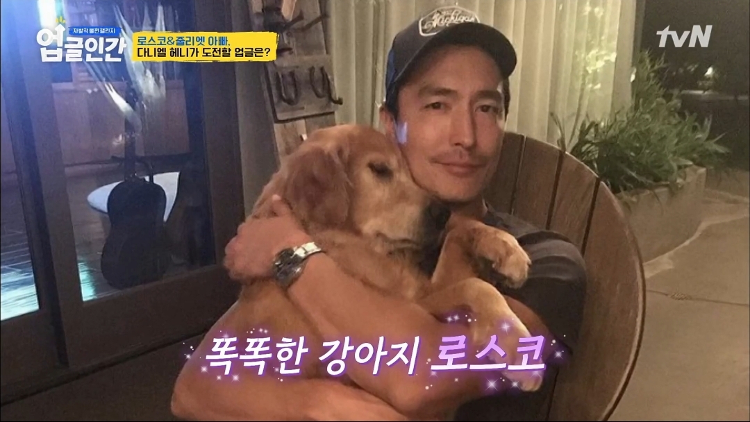 식용견 농장에서 구출된 다니엘 헤니의 강아지 로스코, 줄리엣 | 인스티즈