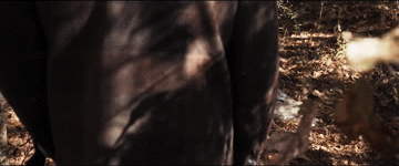 백인 여자친구 부모님 집에 처음 방문하는데 이 가족 전부 어딘가 이상한 거 같아요..gif | 인스티즈