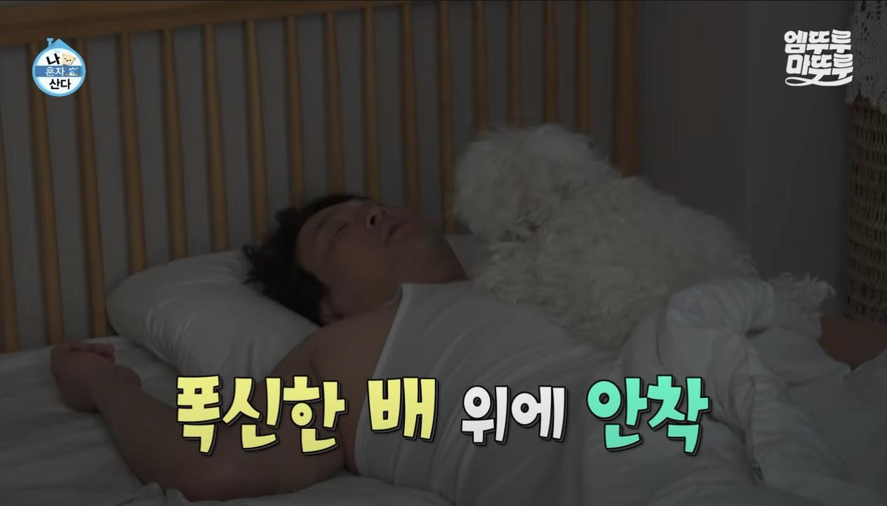 [나혼자산다] 정말 행복해 보이고, 낭만 미친 거 같은 구성환의 부산 한 달 살기 | 인스티즈