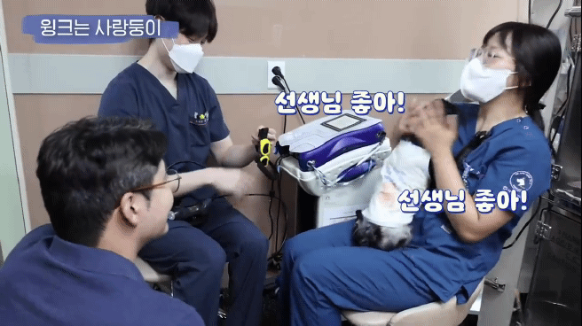 교통사고난 유기견 입양한 설채현 수의사 그리고 윙크 근황😉 | 인스티즈