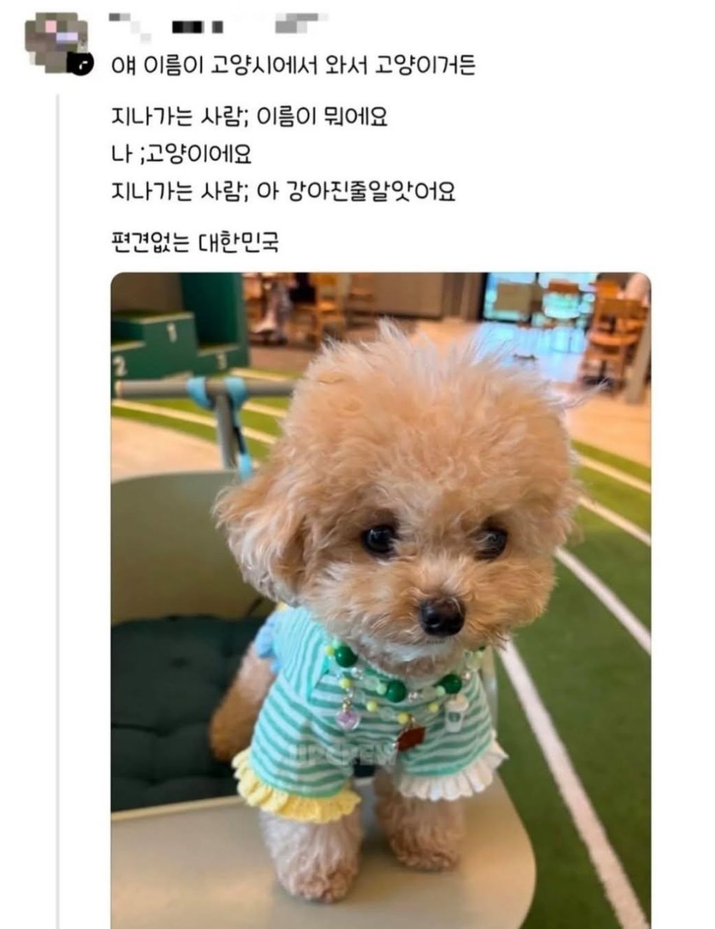 편견없는 대한민국 모음 | 인스티즈