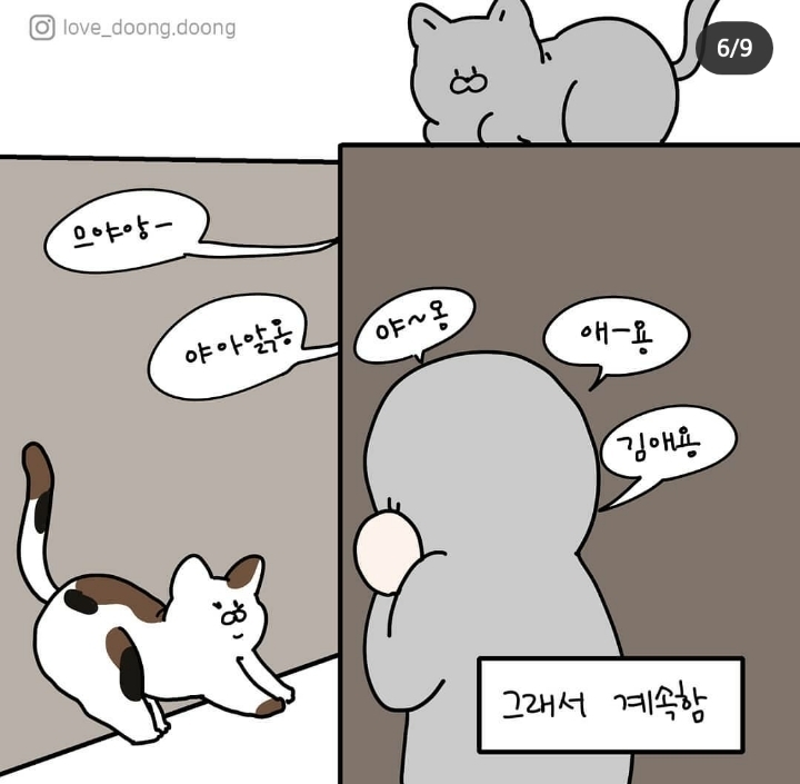 고양이랑 대화하는 방법.jpg | 인스티즈