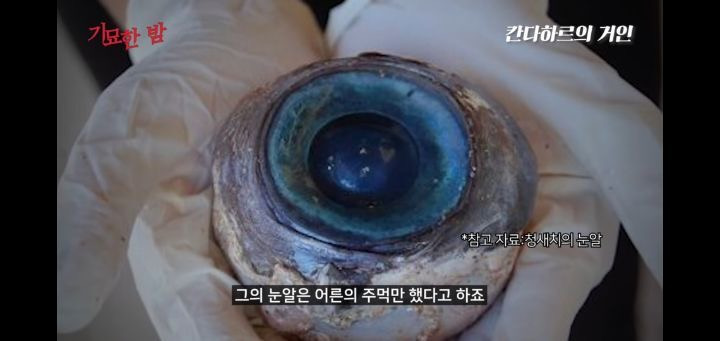 협박받고 해킹까지 당했던 실제 거인사살;; | 인스티즈