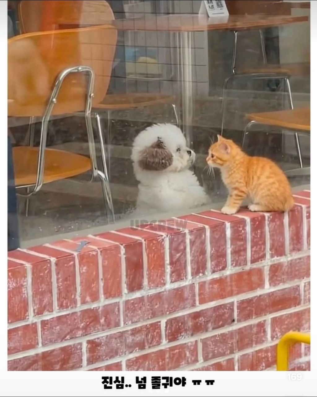 세상 무해한 투샷.jpg | 인스티즈