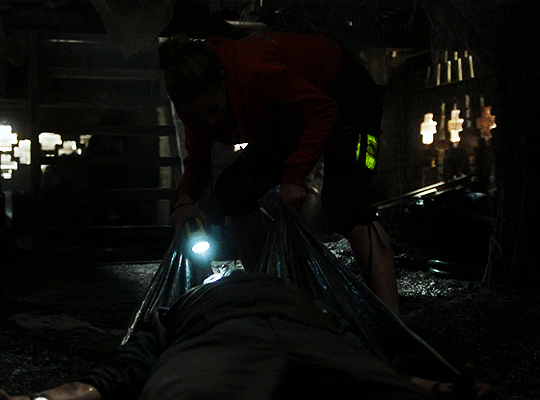 연락이 안되는 아빠가 걱정되서 집에 가봤더니 강아지가 지하실을 계속 응시하길래...gif | 인스티즈