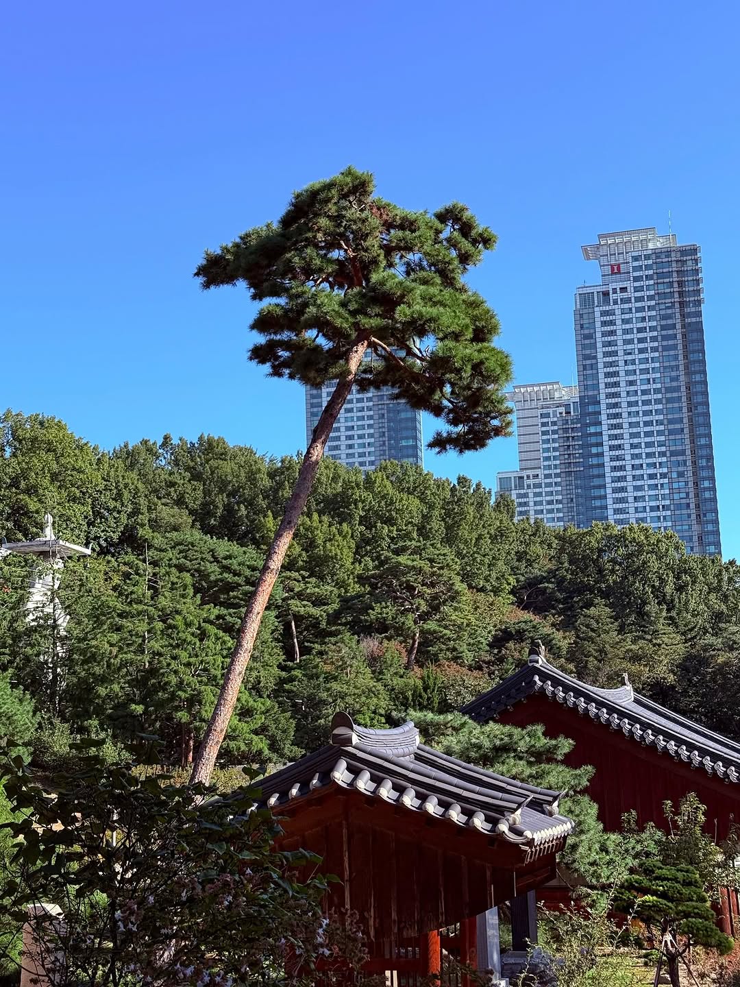 이리나샤크가 한국 왔을때 찍은 사진들.jpg | 인스티즈