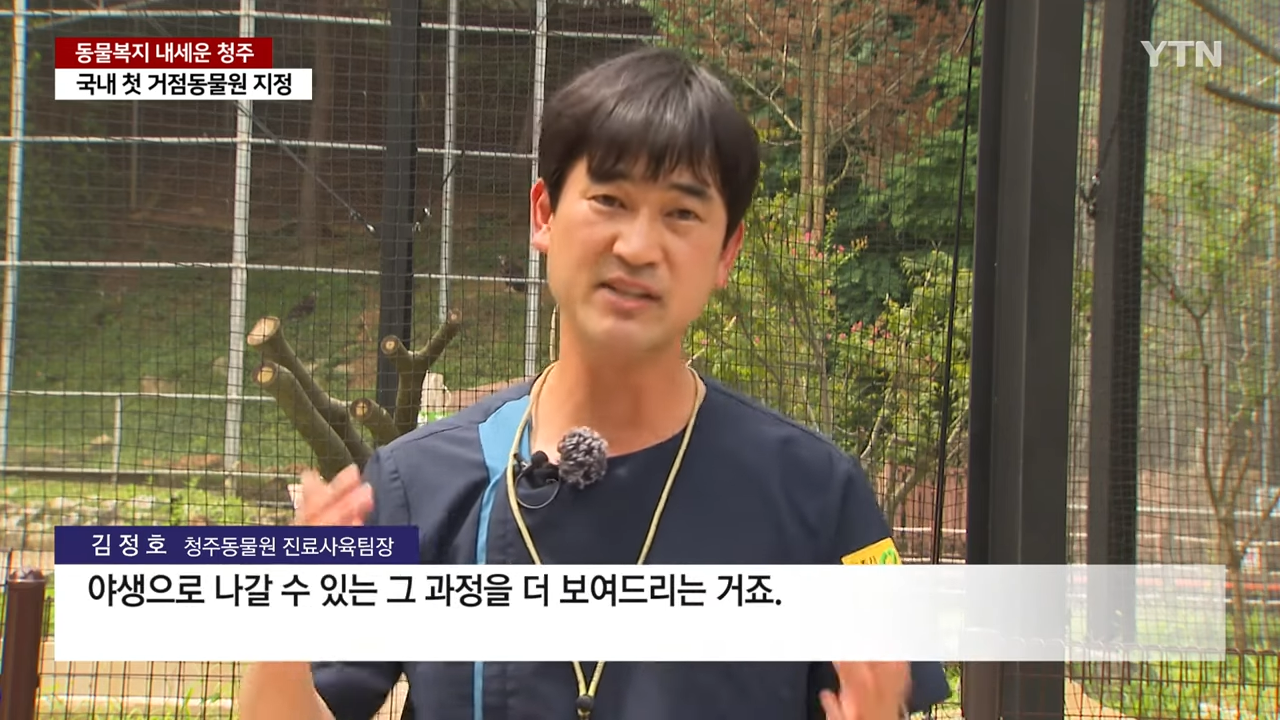 동물복지 내세우면서 관람객이 50% 증가한 청주 동물원 | 인스티즈