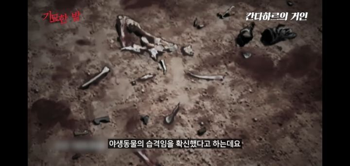 협박받고 해킹까지 당했던 실제 거인사살;; | 인스티즈