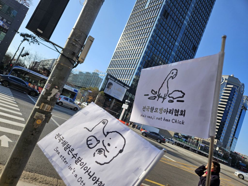 탄핵 시위= 대짱잼 깃발 대회 | 인스티즈
