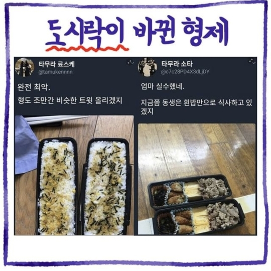 도시락이 바뀐 형제 - 악플달면 쩌리쩌려버려 - ＊여성시대＊ 차분한 20대들의 알흠다운 공간 도시락이 바뀐 형제