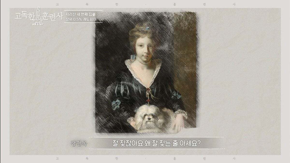 말티즈가 예민하고 잘 짖는 이유.jpg | 인스티즈