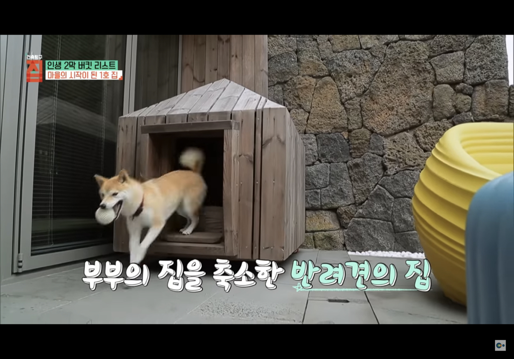 제주도에 마을 만들어 모여 사는 여섯 친구들의 삶 | 인스티즈