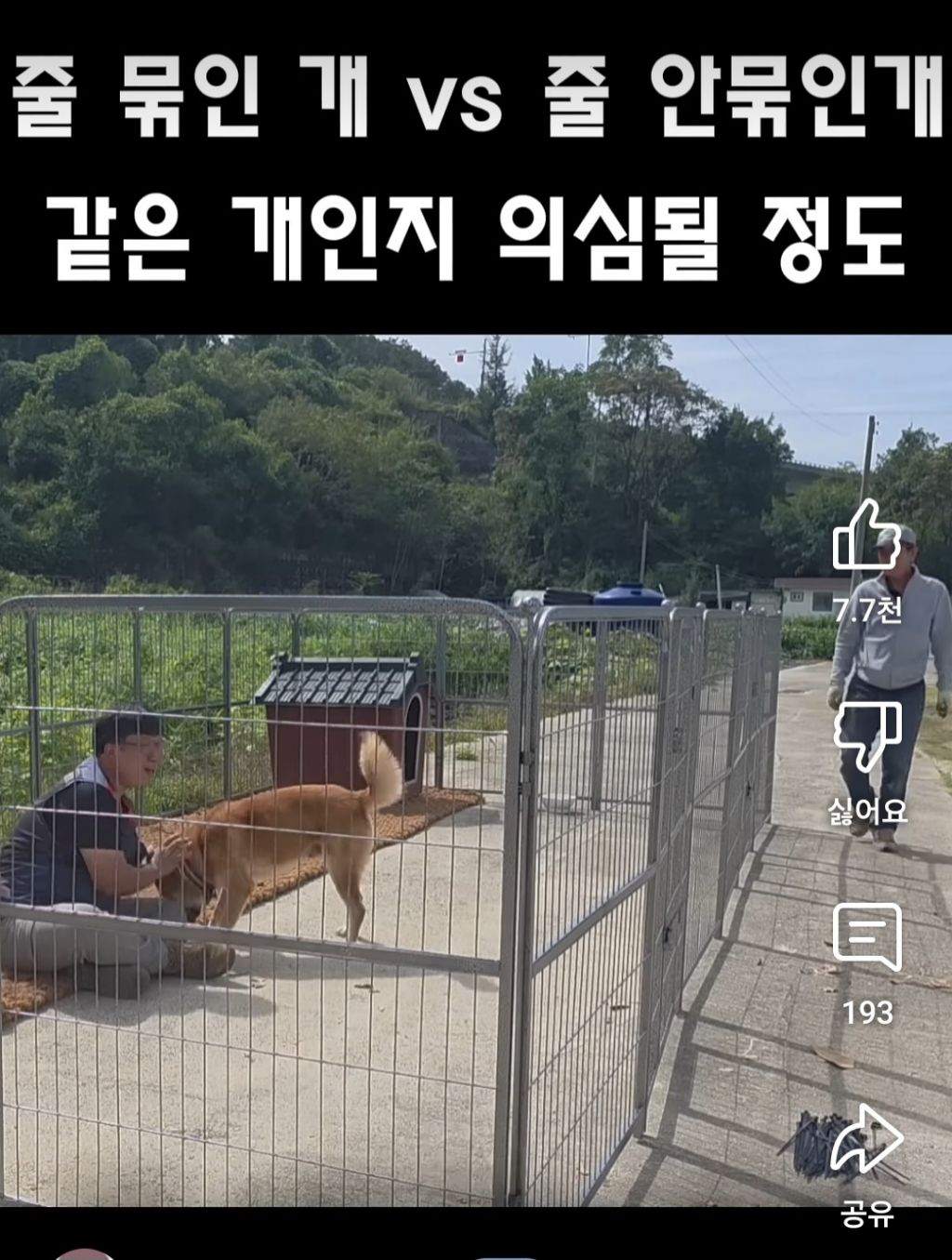 택배하면서 시골 묶인 개들한테 집 지어주는 택배기사 | 인스티즈