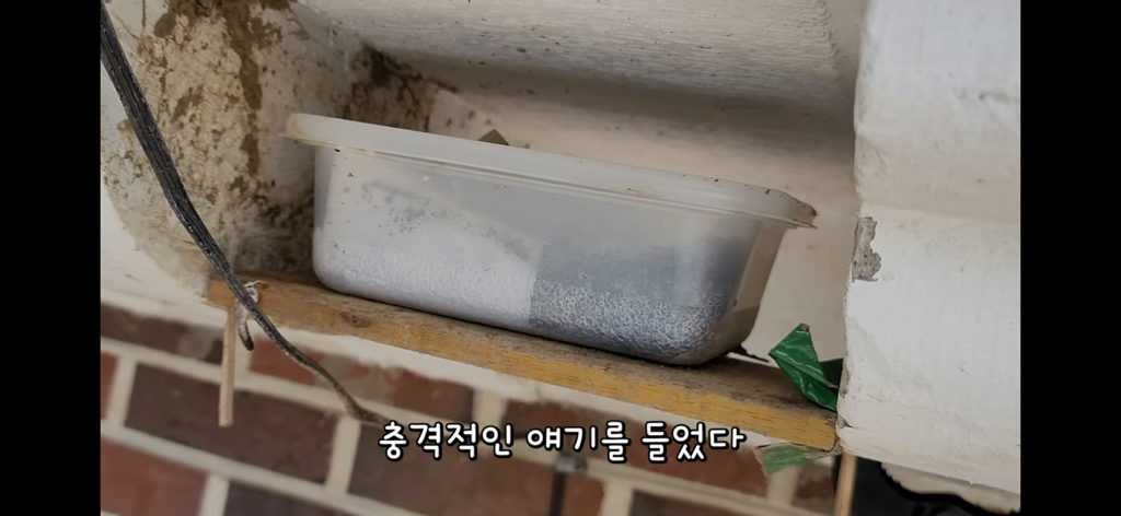 금은보화가 들어있는 박씨를 얼마나 받을지 궁금한 매탈남 | 인스티즈