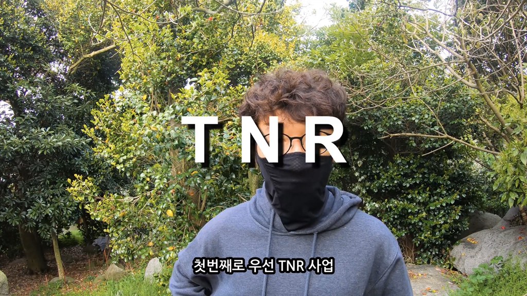 고양이가 자연생태계에 끼치는 심각한 영향(새 사체사진있음) | 인스티즈