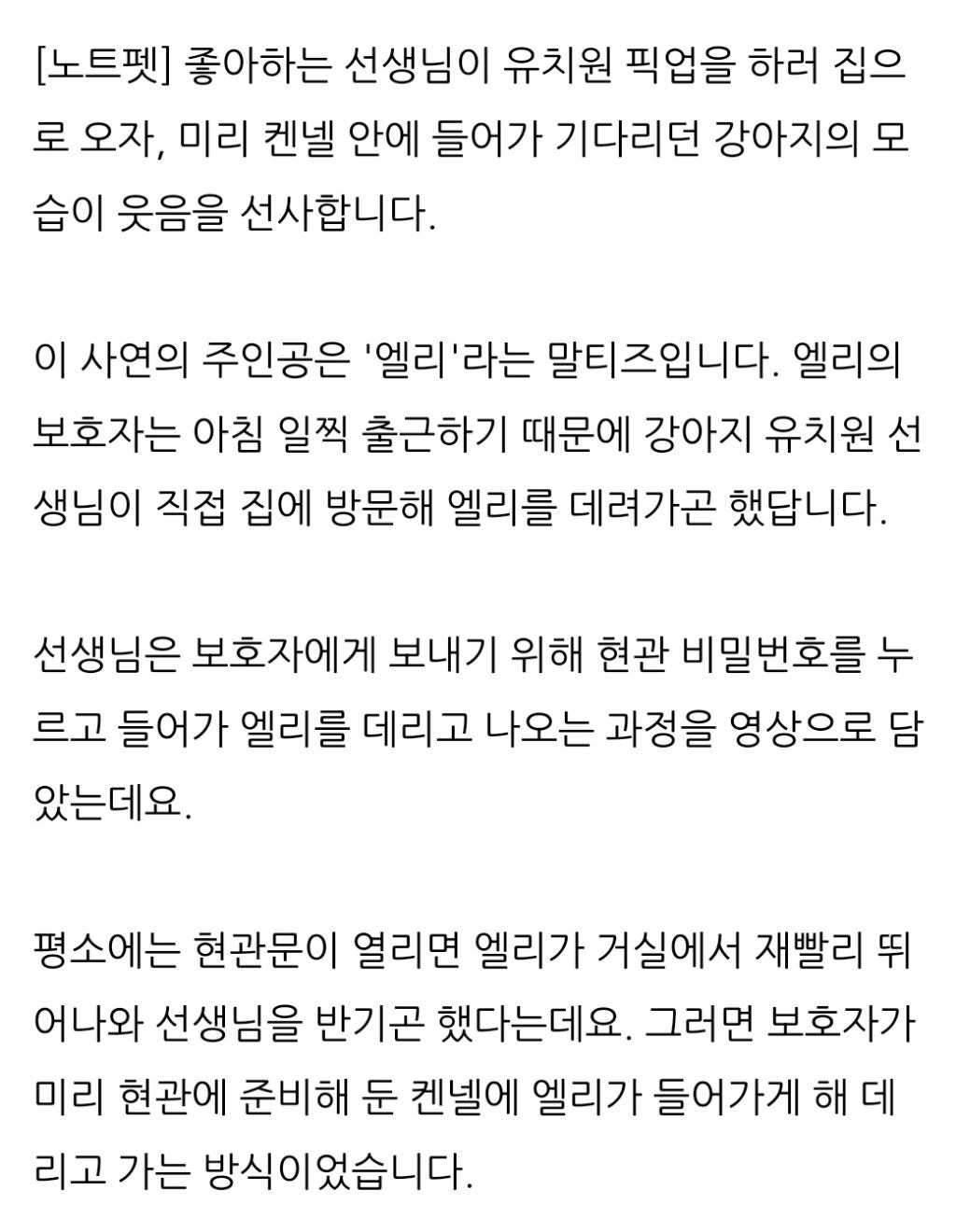 최애 강아지 유치원 선생님이 픽업하러오자..jpg | 인스티즈