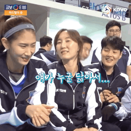 937f4e64a8d19e01fb78dd93072abecc19d9a50b