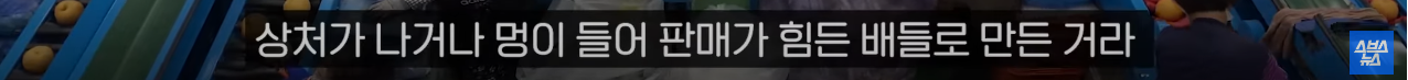 호주에서 인기 있다는 k-배즙 | 인스티즈