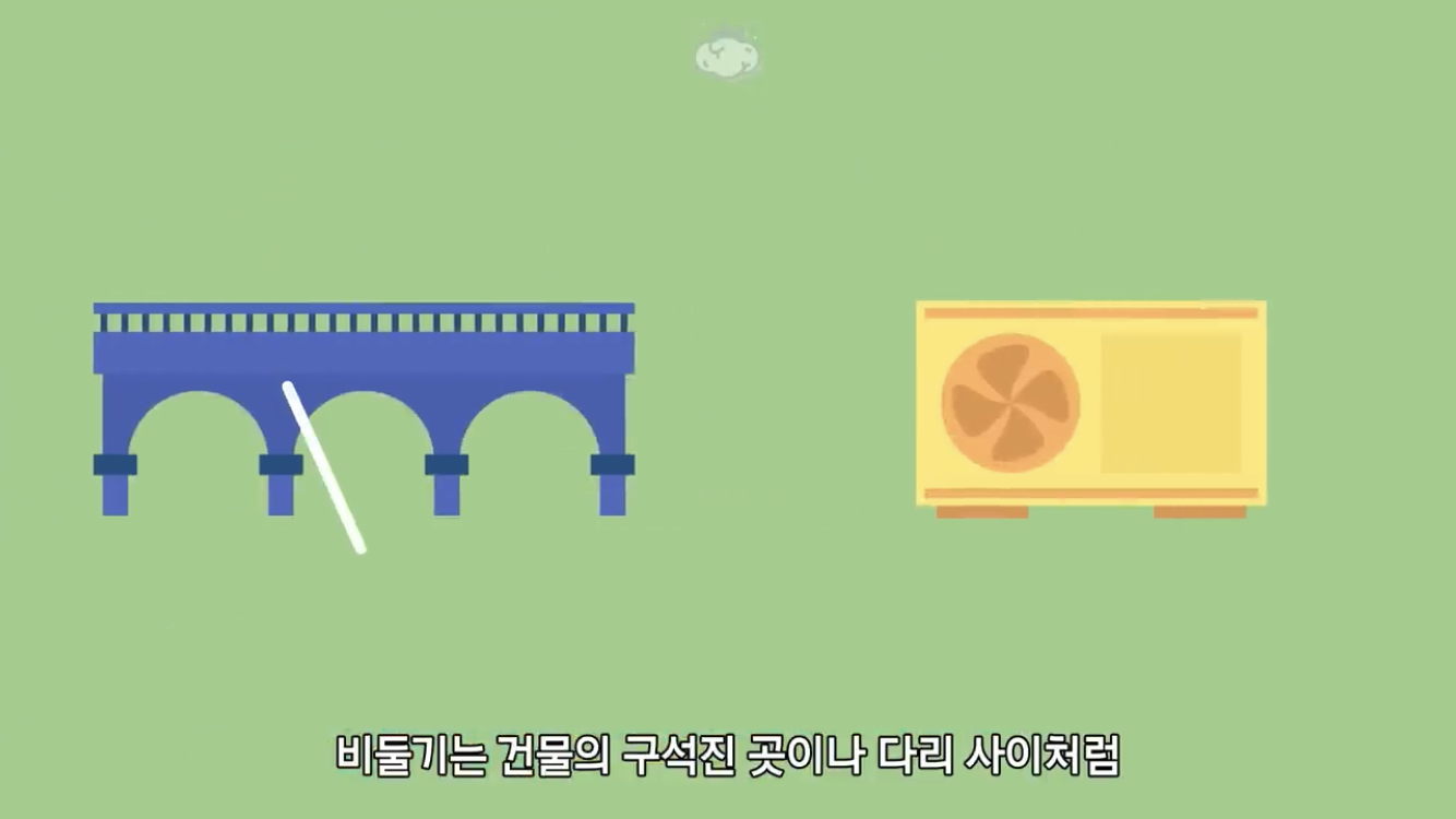 거리에 비둘기가 이렇게 많은데 왜 새끼 비둘기는 안 보일까? | 인스티즈