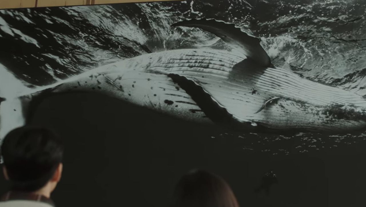 [이상한변호사우영우] 사랑은 왈츠처럼 서로 스텝을 맞춰가는 것.jpg | 인스티즈