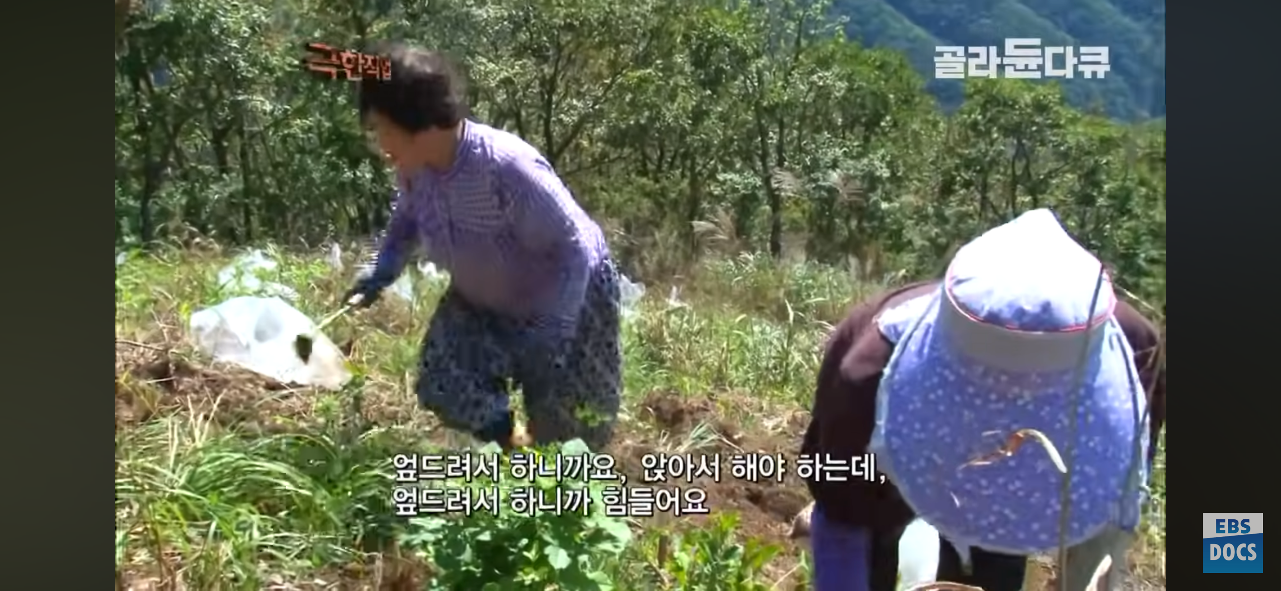 등산로, 어떻게 만들까?.jpg | 인스티즈