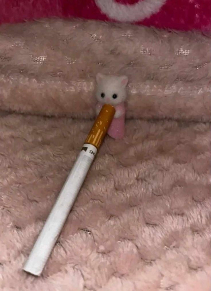 문장 뽑기: 인생에 힘이 되어주는 문장들이 들어있어요 | 인스티즈