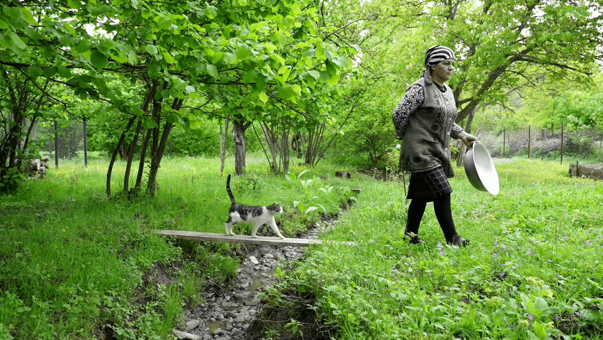요즘 유튜브에서 은근히 인기 많다는 외국 시골 브이로그...jpg | 인스티즈