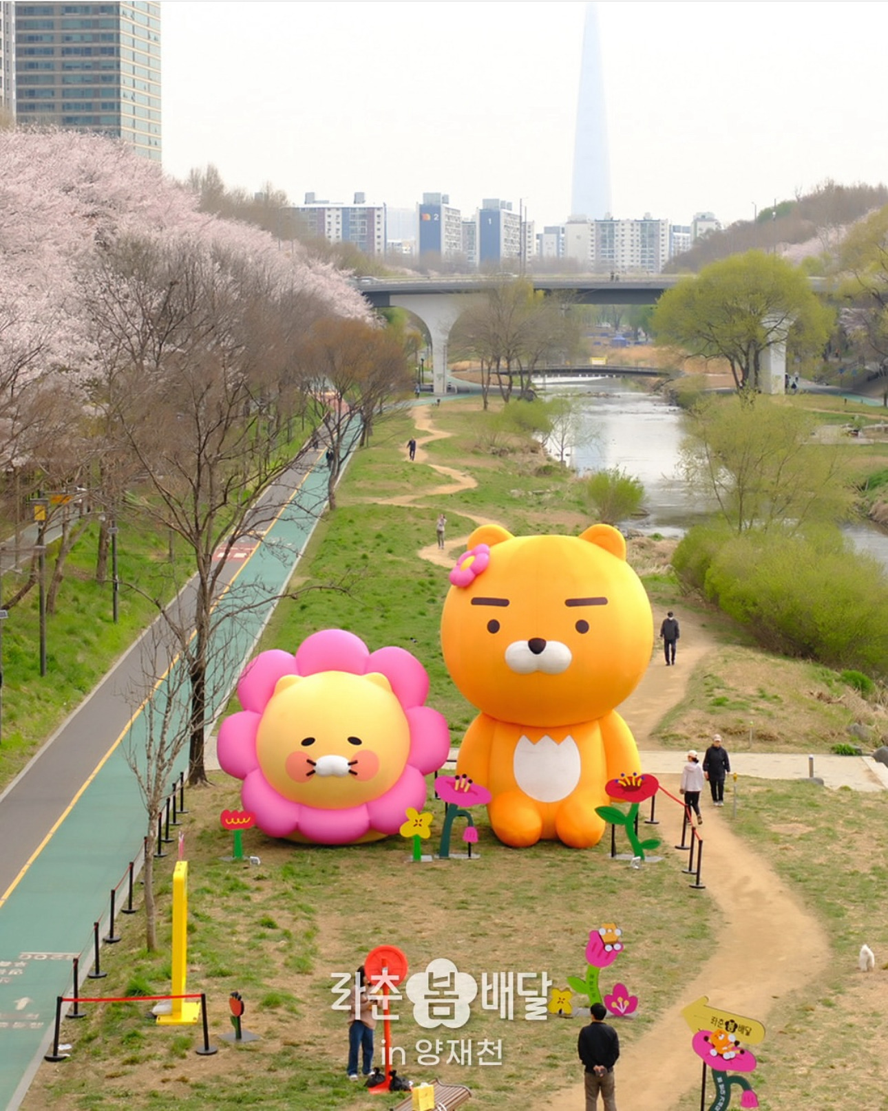 현재 서울 양재천 근황 | 인스티즈