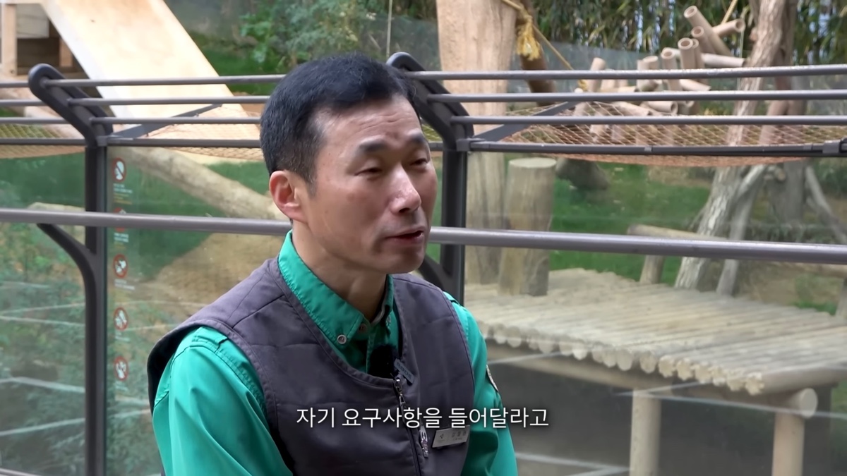 강바오가 중국 사육사에게 보내는 영상편지 (오열주의) | 인스티즈