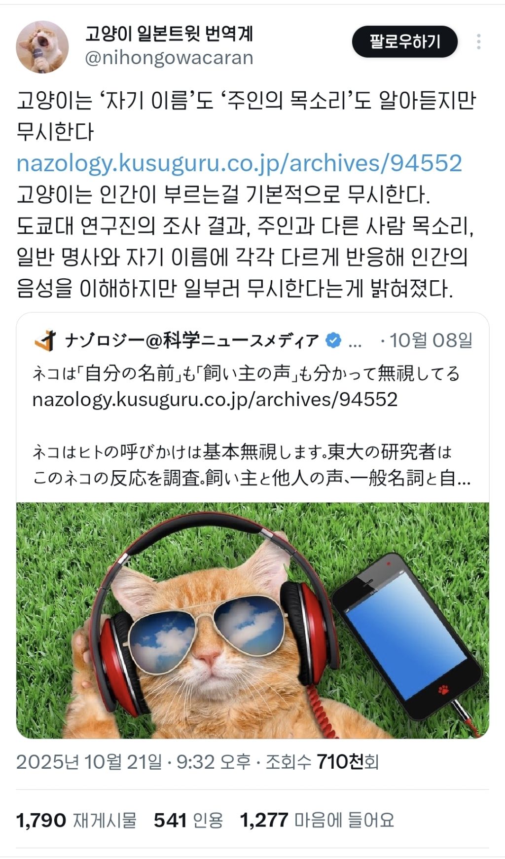 고양이는 '자기 이름'도 '주인의 목소리'도 알아듣지만 무시한다.twt | 인스티즈