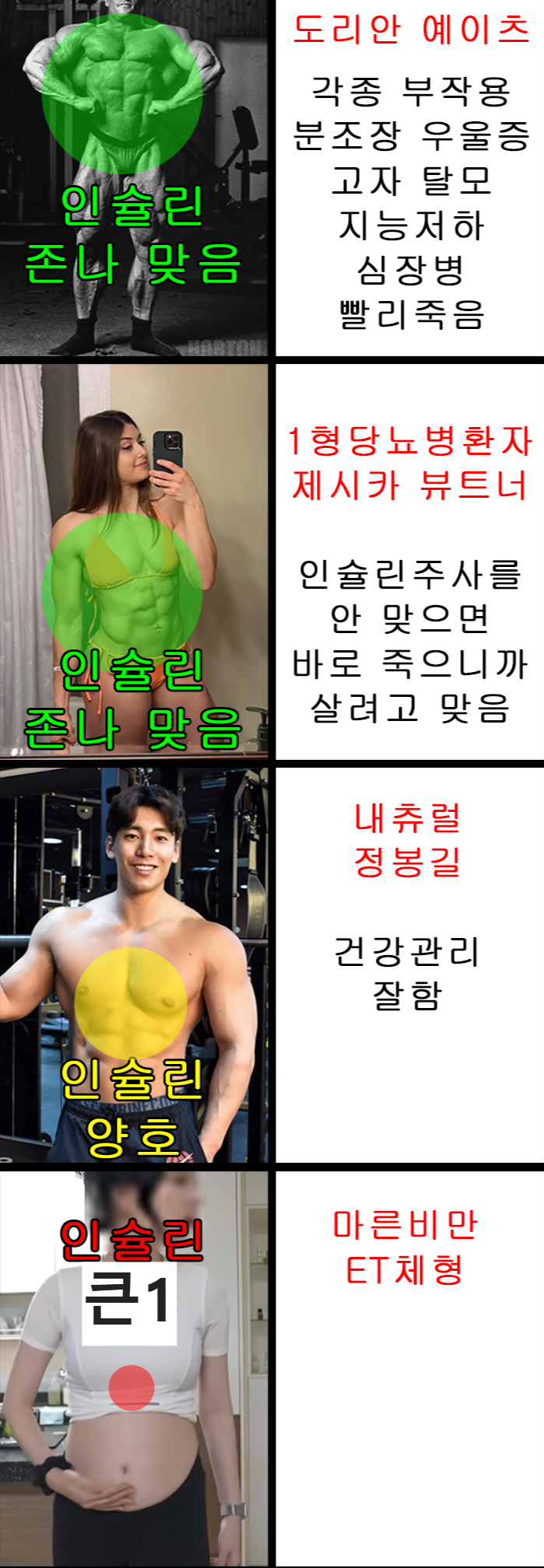 중2도 이해하는 마른비만 인슐린 | 인스티즈