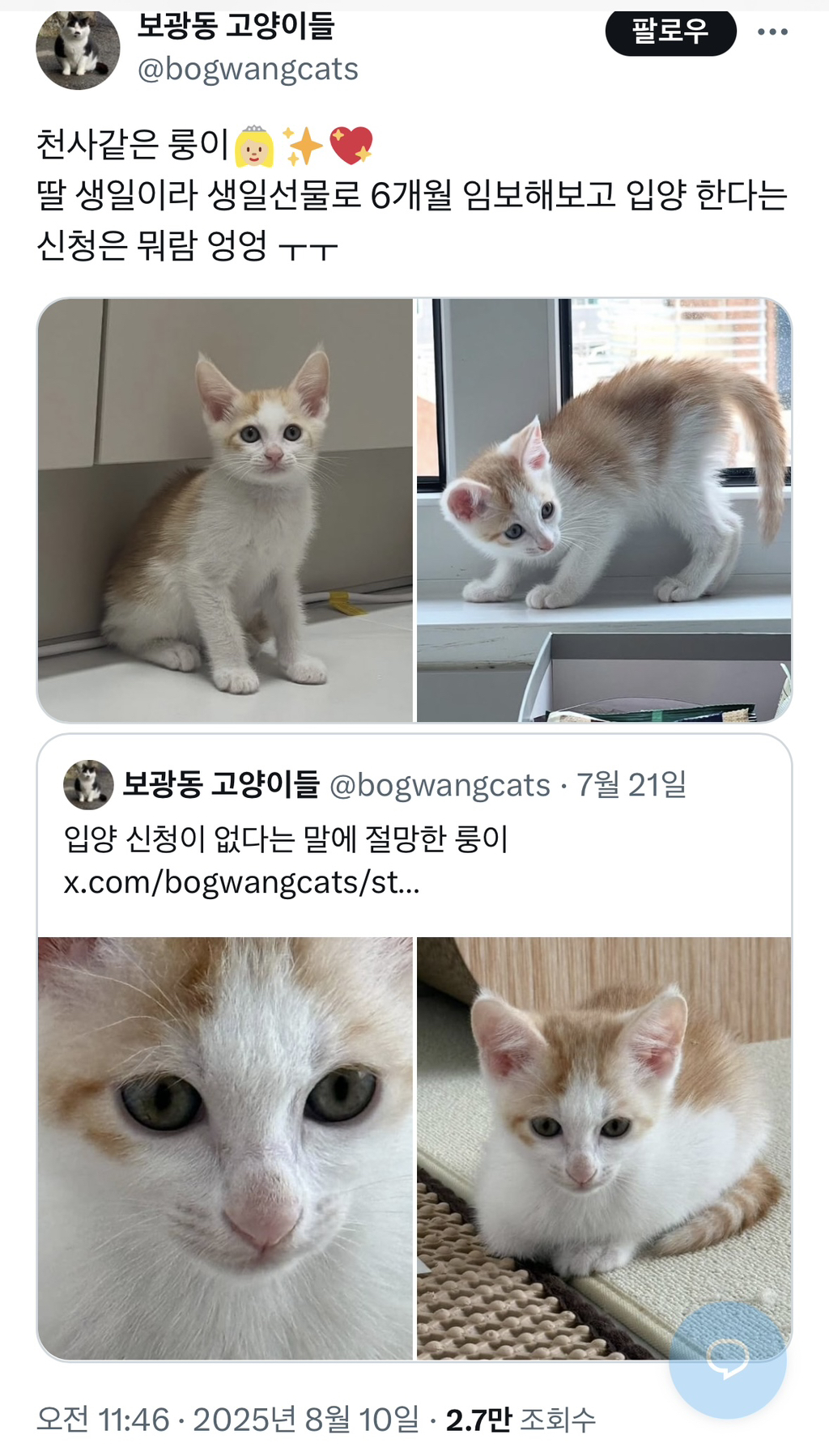 생일선물 임보 | 인스티즈