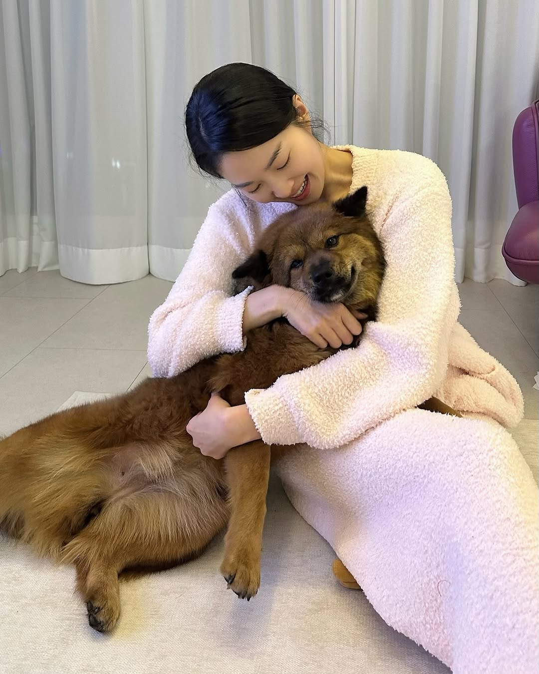 동물농장 똥개보필프로젝트에 참여중인 연예인과 임보 강아지들 | 인스티즈