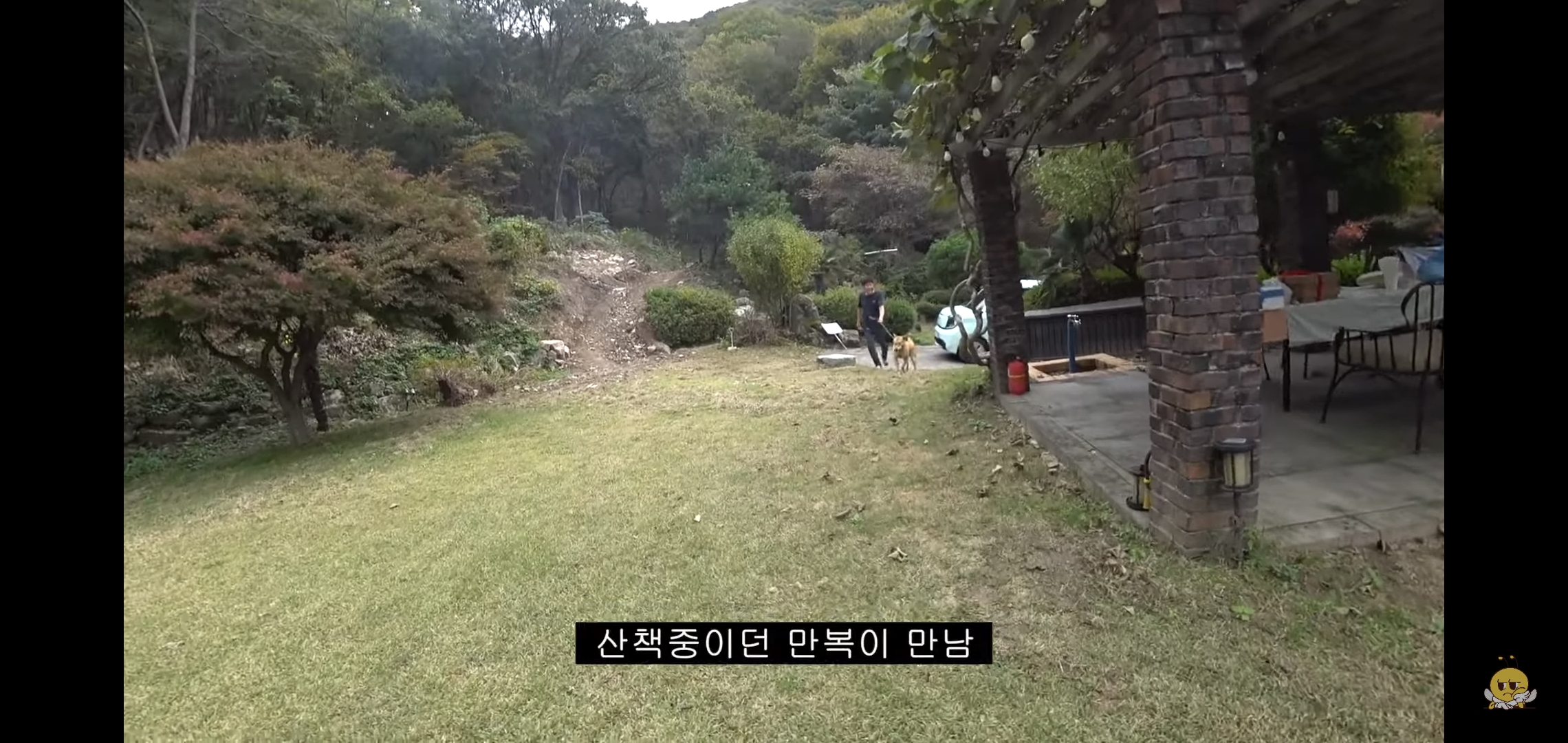 갑자기 유튜버 집에 들어온 떠돌이개가 알고보니 부잣집 도련님이었음.jpg | 인스티즈