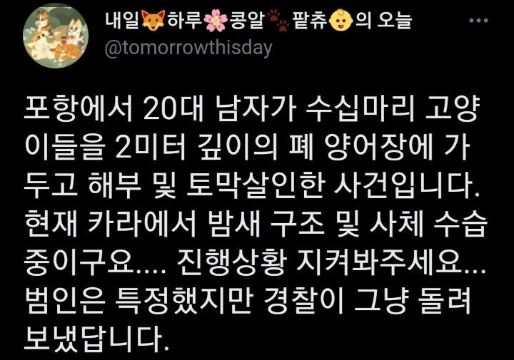 포항 20대 남 폐양어장 수십마리 고양이 해부 및 토막살인 사건 (사진없음/공론화 부탁) | 인스티즈