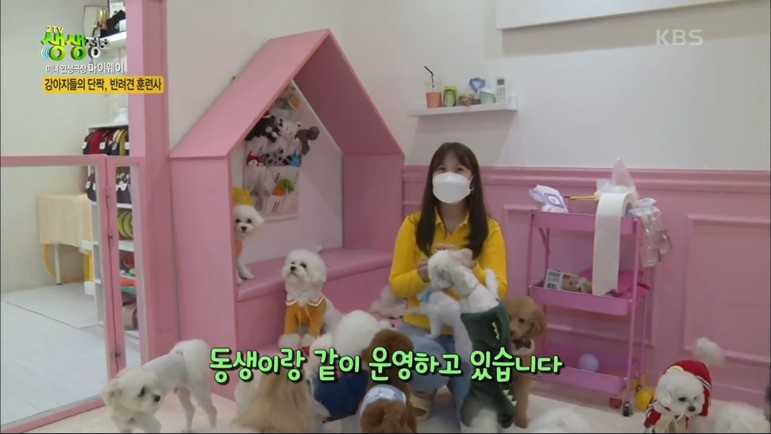 강아지 유치원.jpg | 인스티즈