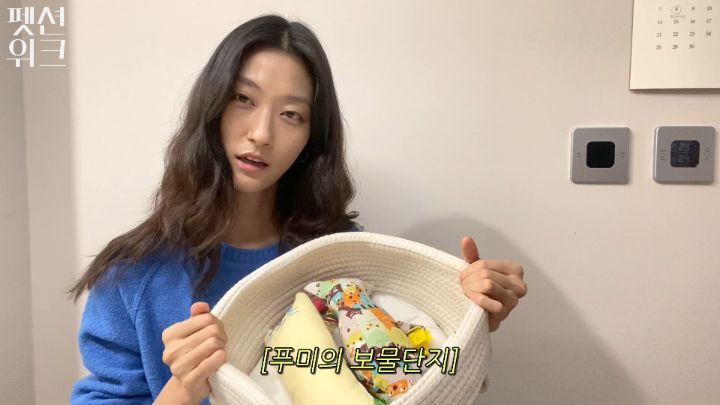 집사들 고양이 장난감 왤케 많이 사는거야 | 인스티즈