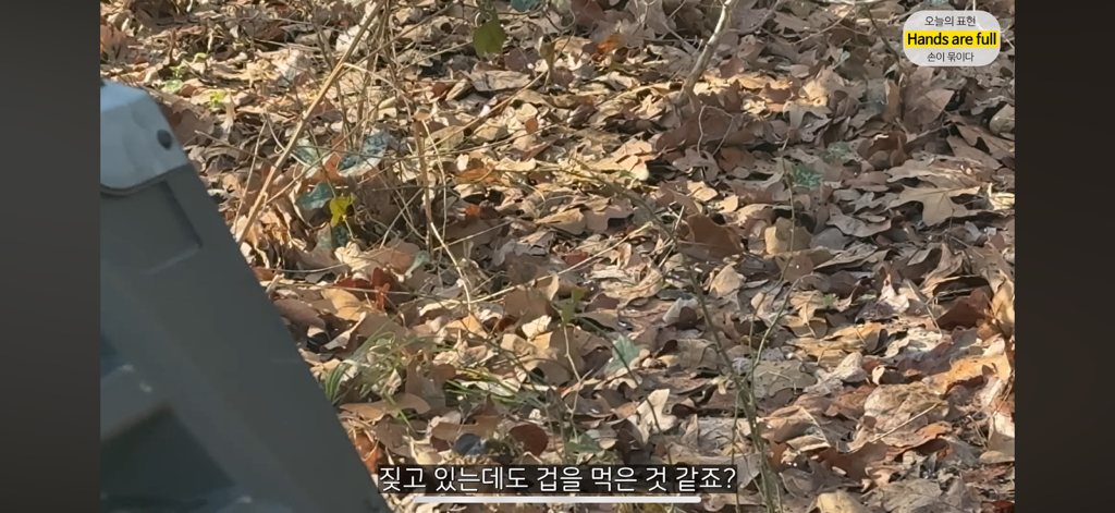 진짜 명견 같은 올리버쌤네 왕자 | 인스티즈