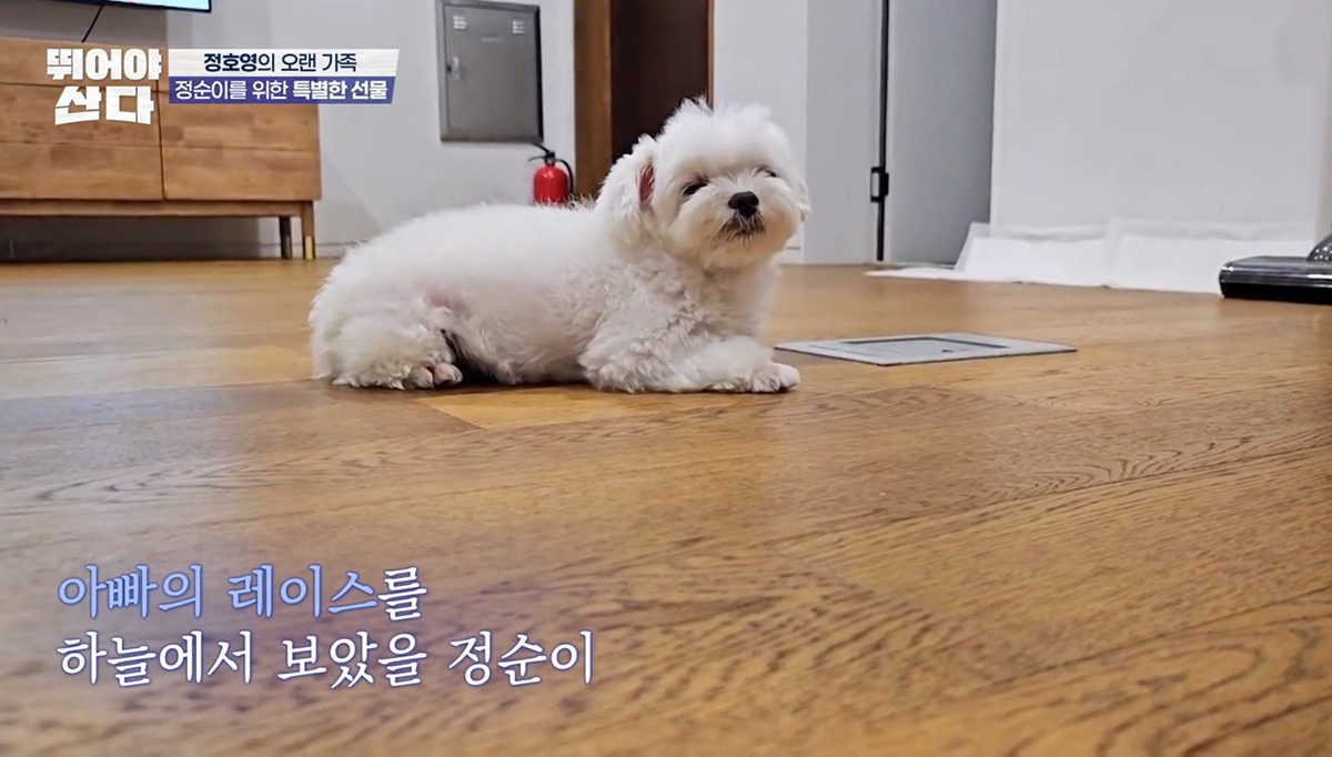 정호영셰프가 눈물을 흘리면서 21km를 완주한 이유 | 인스티즈