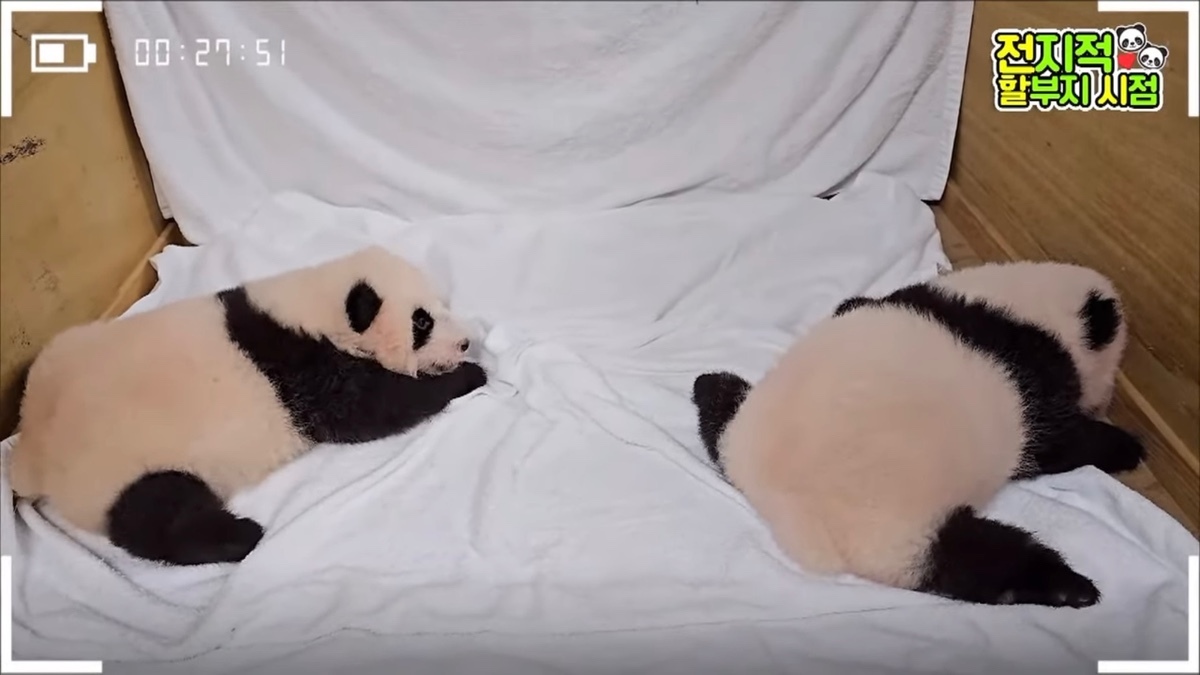 애들나라 이미지