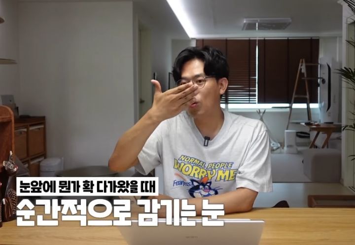 고양이 벽짚 챌린지는 진짜 지능과 관련 있을까? | 인스티즈