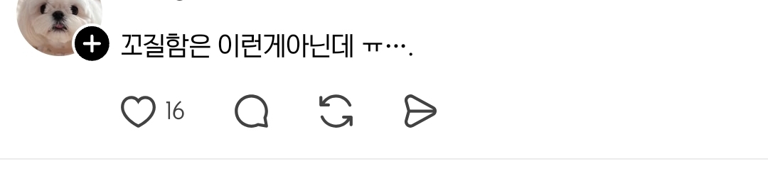 스레드에서 논란이라는 꼬질 강아지 | 인스티즈